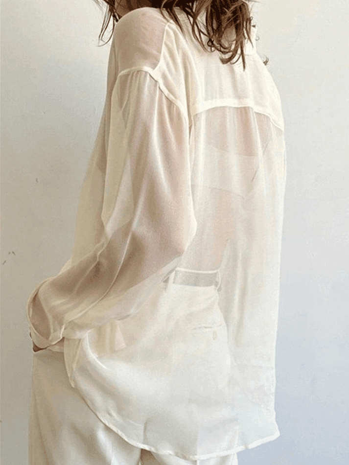 Button Front Semi Sheer Long Sleeve Blouse - AnotherChill