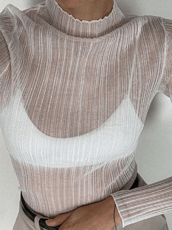 High Neck Semi Sheer Knit Top - AnotherChill