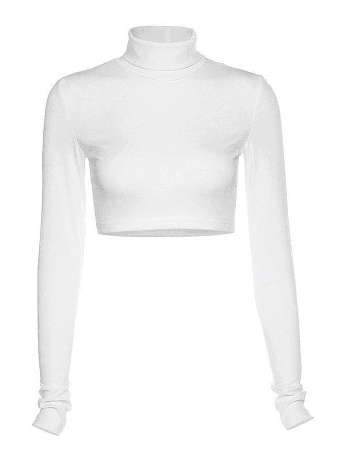 Turtleneck Long Sleeve Crop Top - AnotherChill