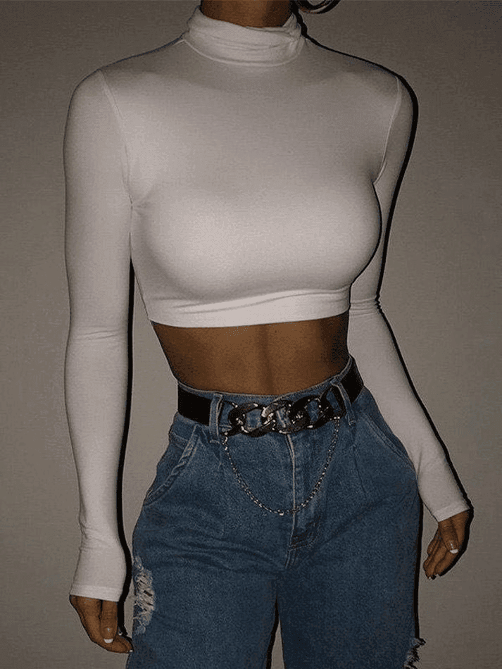 Turtleneck Long Sleeve Crop Top - AnotherChill